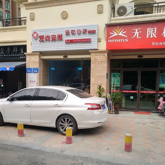 爱尚宠巢宠物诊所(马尾店):福州市马尾区