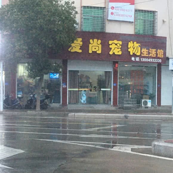 爱尚宠物生活馆:福州市福清市