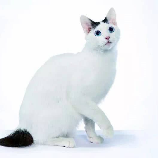 罪宠·龙猫生活馆:南通市通州区