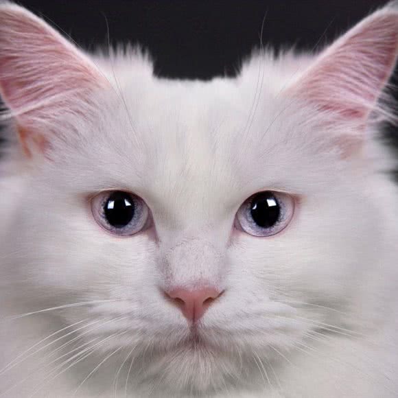 甜甜猫猫:镇江市丹阳市